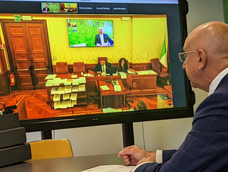 20230516Valerio_videocollegamento_audizione_Senato.jpg