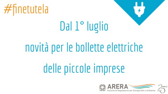 210732088 1157450844667742 3235745756797227220 n