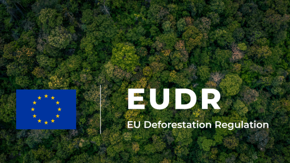EUDR REGULATION