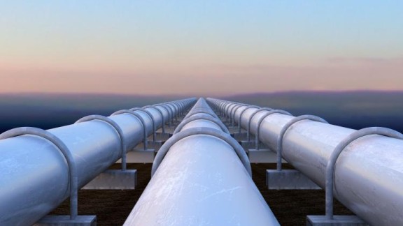 NZ59GxdGVo1EvsYfHP3d detail