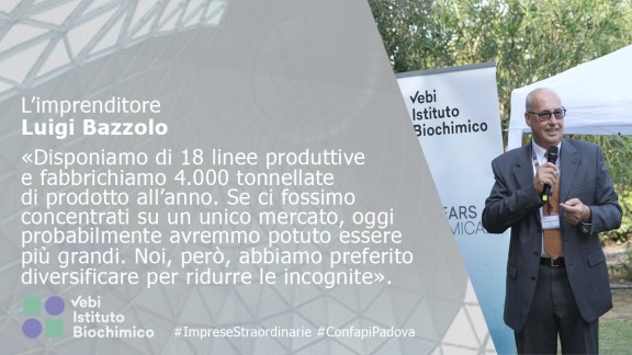 bazzolo VEBI