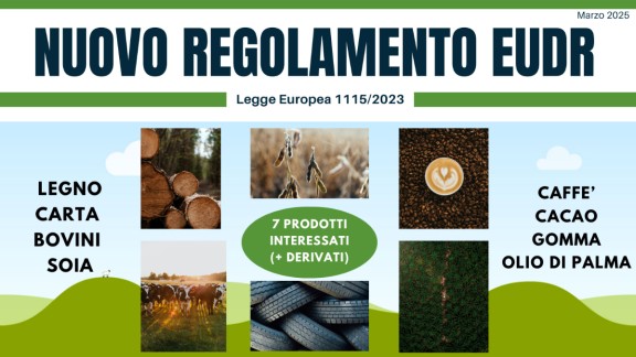 c64fdc7c 707e 33b4 25fb 51392bad6abf