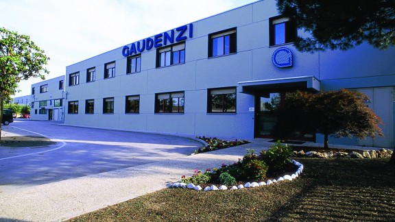 gaudenzi