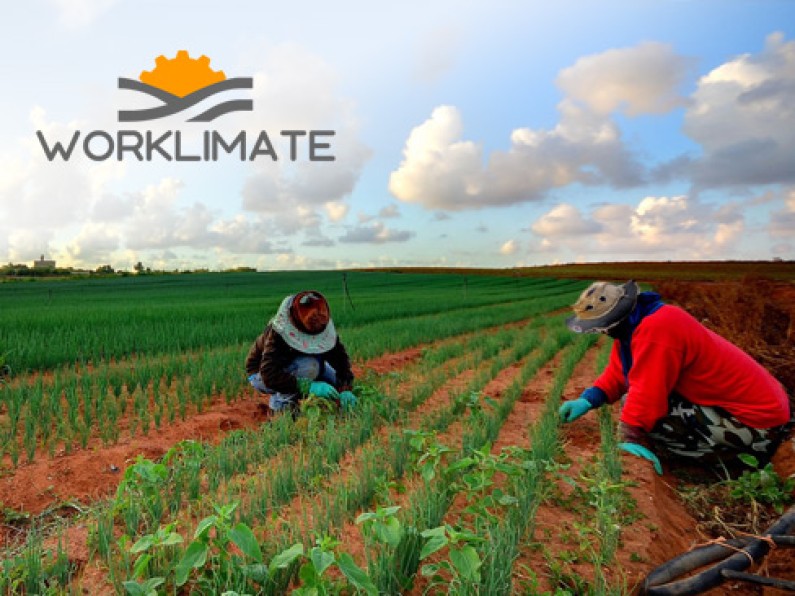 img-news-worklimate.jpg
