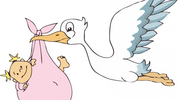 Fiocco nascita Coccarda rosa Bimba Cicogna con nome 40x28cm extra big 6722