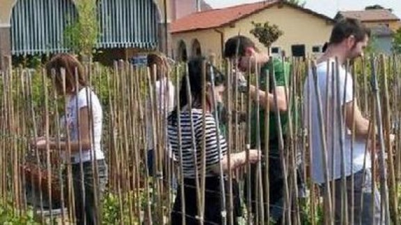 GeneralFluidiGlicine