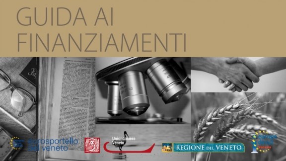 ID1512016.06.28guidafinanziamentiue