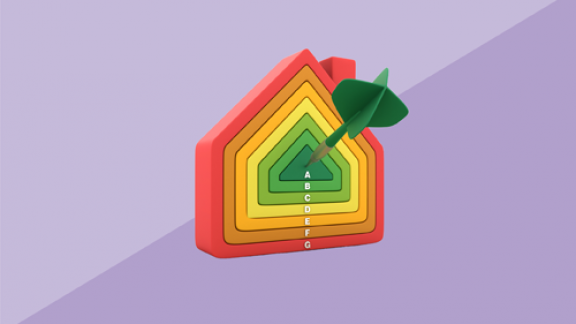 bonus110 viola 500pxl