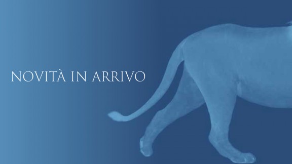 fed62cb7 8e5d 4733 886c 6586b31d7233